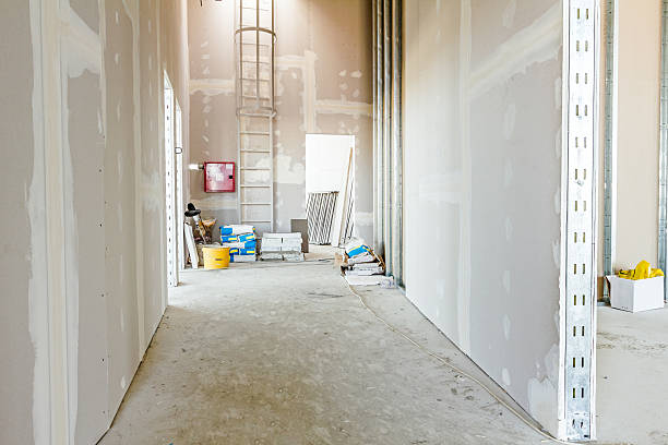  , USA Dry wall and painting Pros